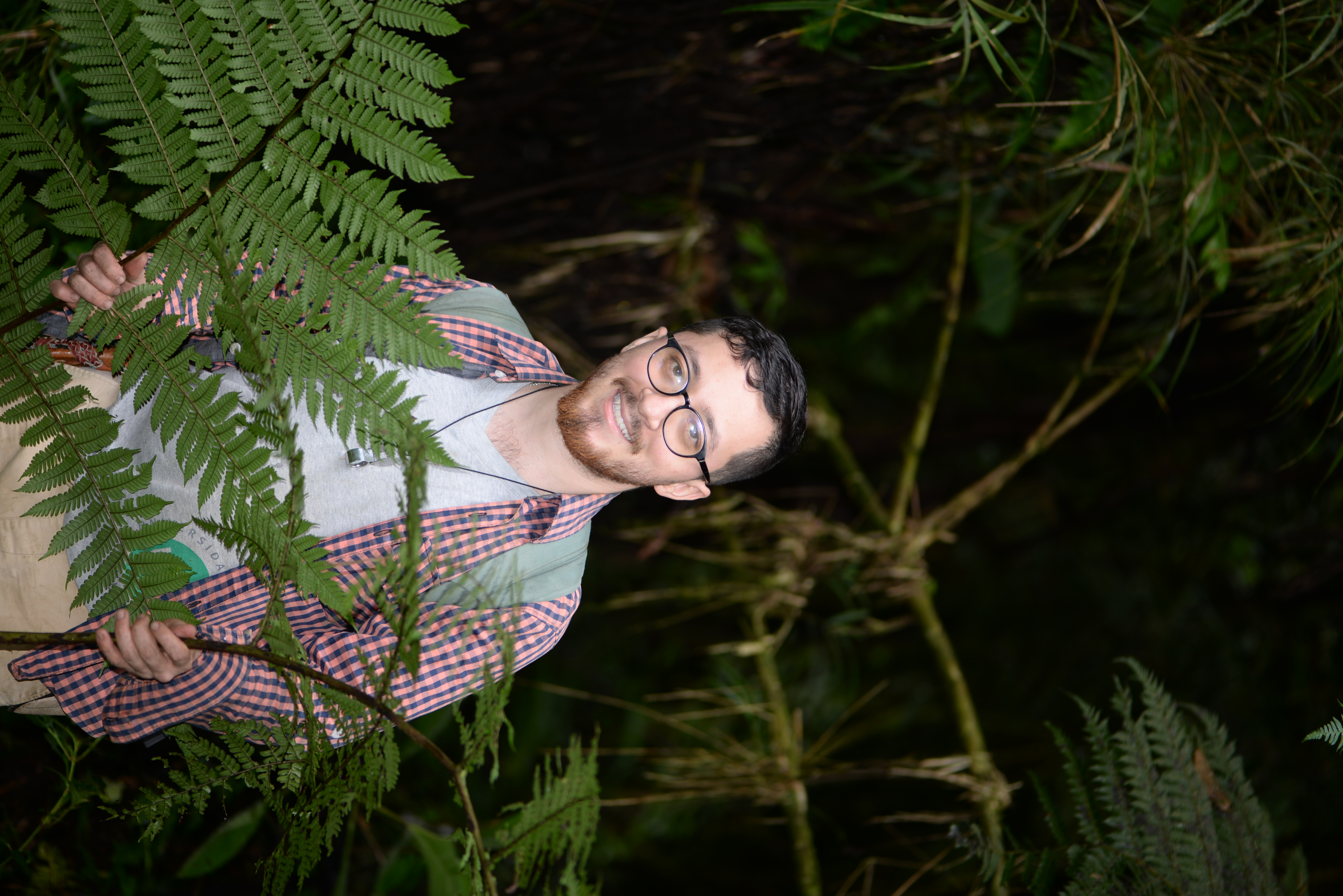 David in field work